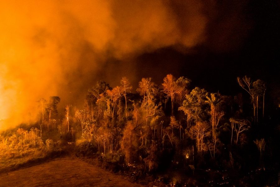 Fires set the Amazon Rainforest ablaze with strong winds.
Photo Credit: Sebastián Liste for TIME