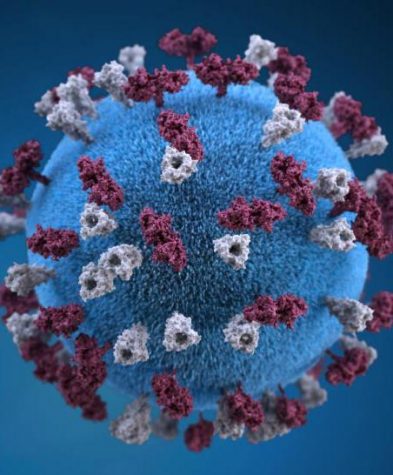 A computer-modeled representation of a spherical measles virus may seem minuscule or unreal, but the dangers of this one little particle are shown through the recent outbreaks in Georgia. photo cred: CDC