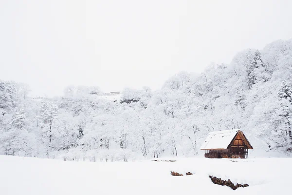 This is an example of one of the snowy houses that one would see in a movie that most people want to wake up to on Christmas morning. Credit: Unsplash