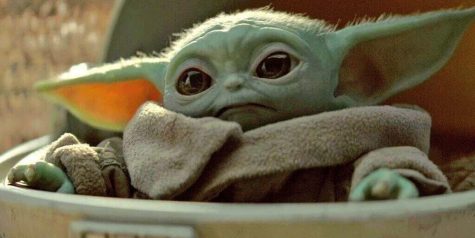 Despite timeline confusion, fans have still speculated that the cute green creature is in fact young Yoda. Credit: Cnet