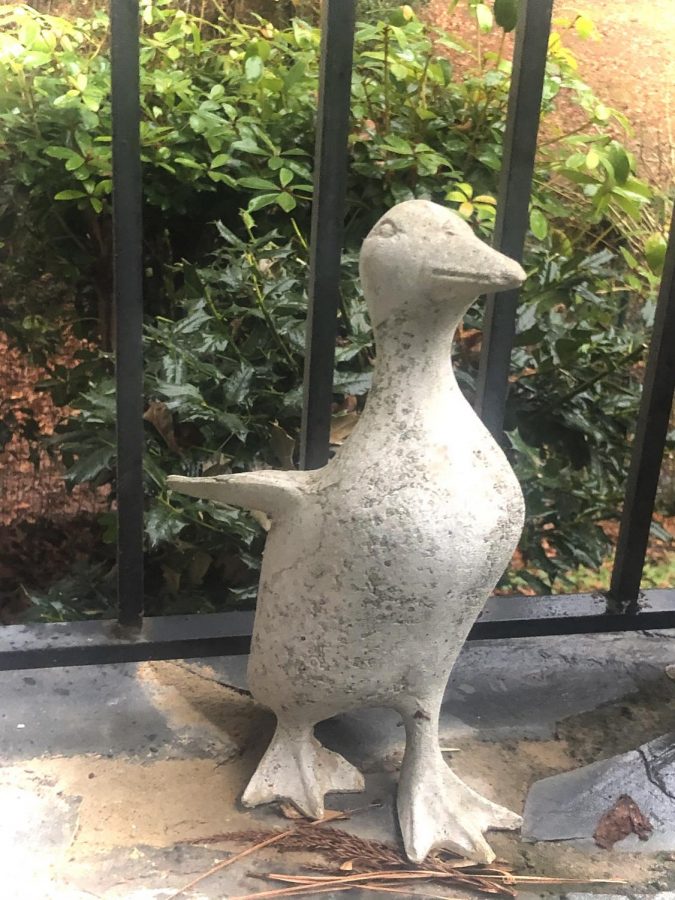  Ducks, like this statue, are just one of the many wonderful species you can observe at the new national park.
Photo Credit: Gemma Mueller-Hill