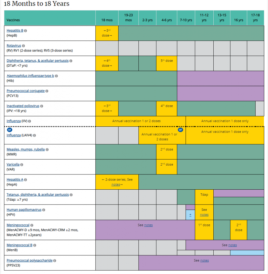 Vaccination records from 18 months to 18 years of a child's life. (Credit: cdc.gov) 